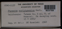 Image Associated With the Occurence